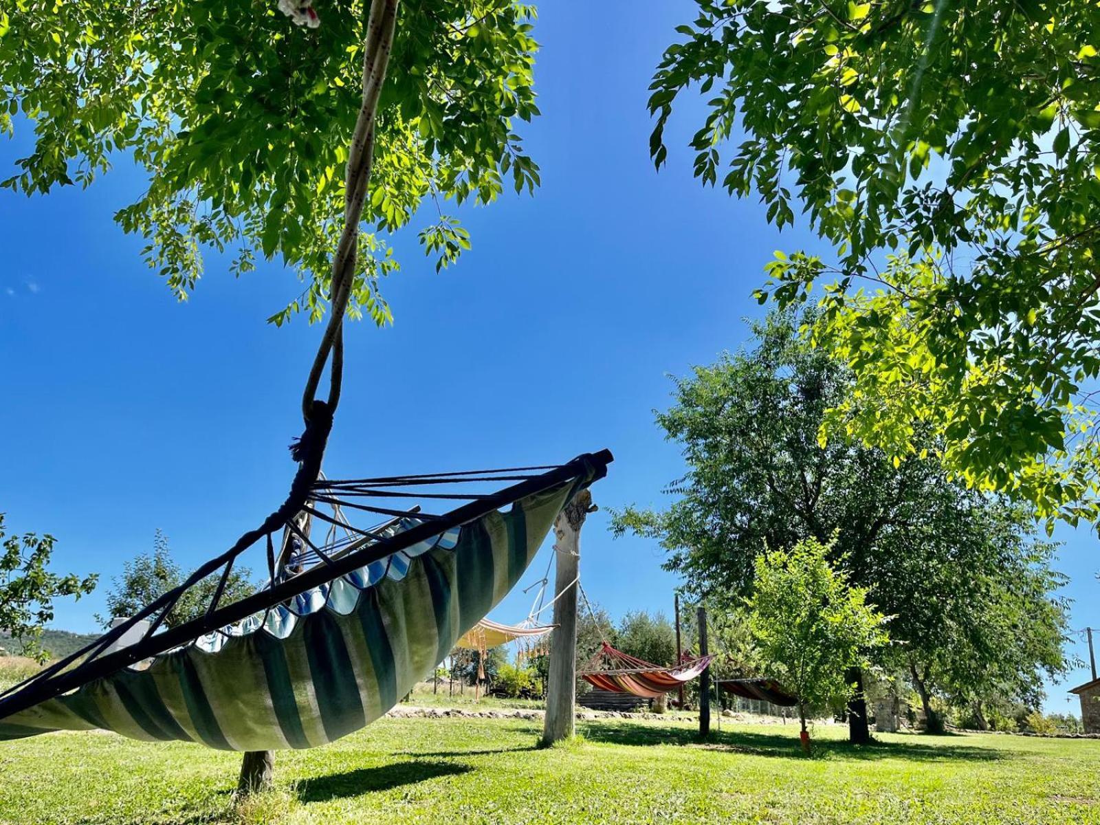 Agriturismo Podere Dell' Olmo アメリア エクステリア 写真