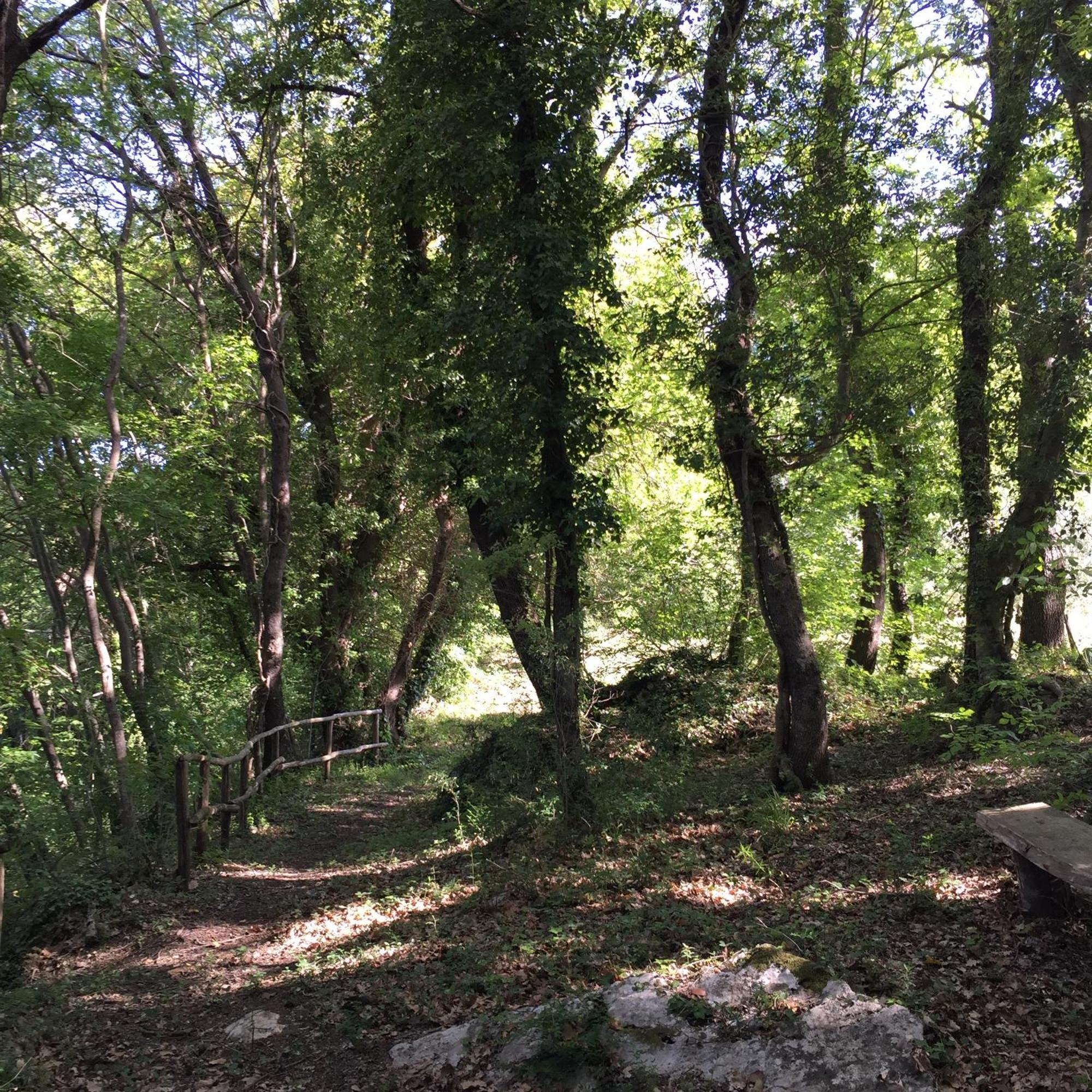 Agriturismo Podere Dell' Olmo アメリア エクステリア 写真