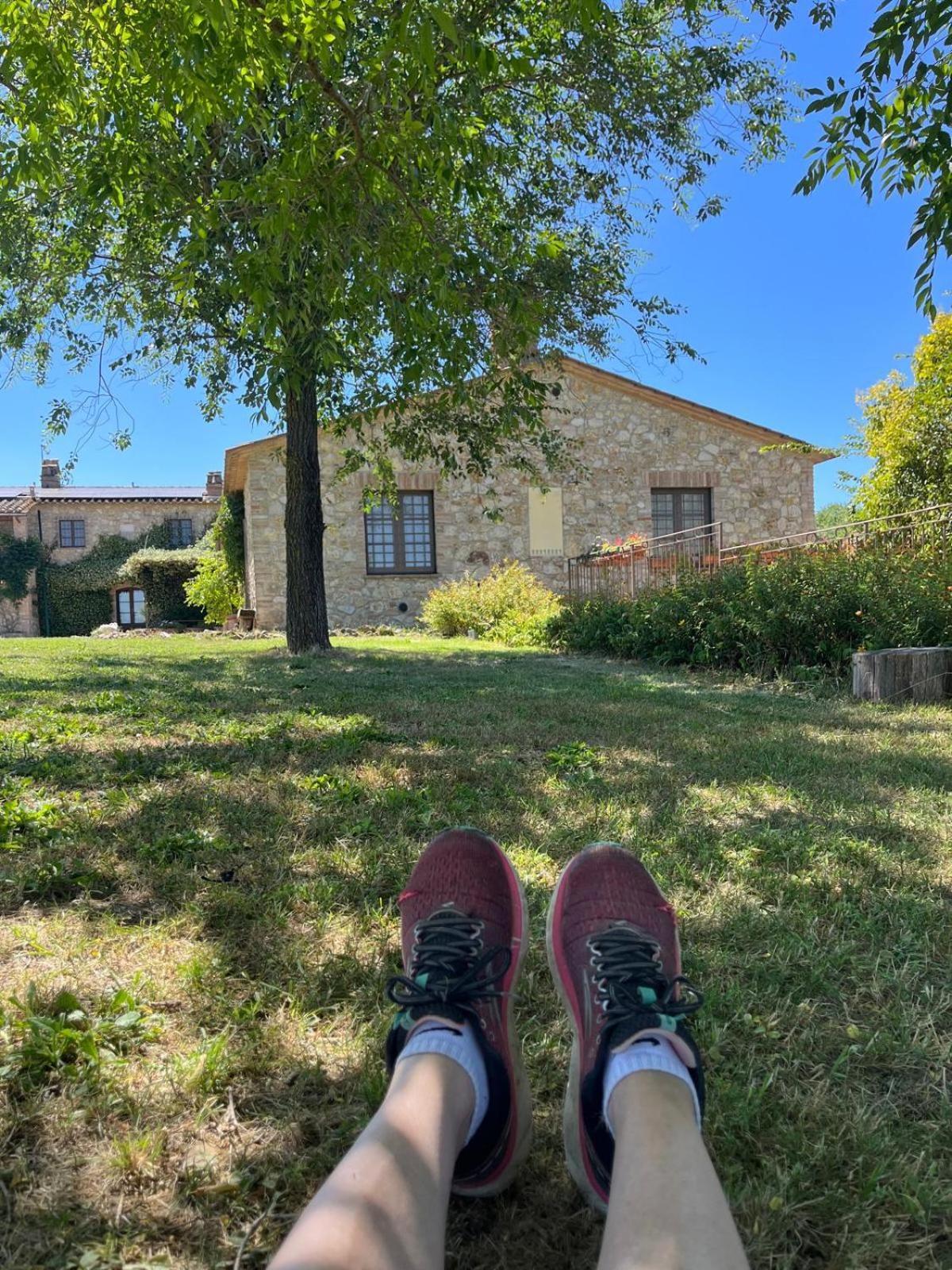 Agriturismo Podere Dell' Olmo アメリア エクステリア 写真