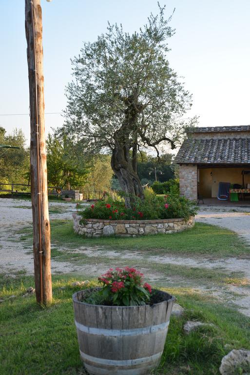 Agriturismo Podere Dell' Olmo アメリア エクステリア 写真