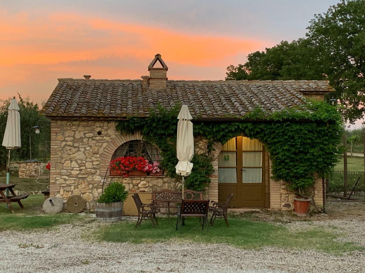 Agriturismo Podere Dell' Olmo アメリア エクステリア 写真