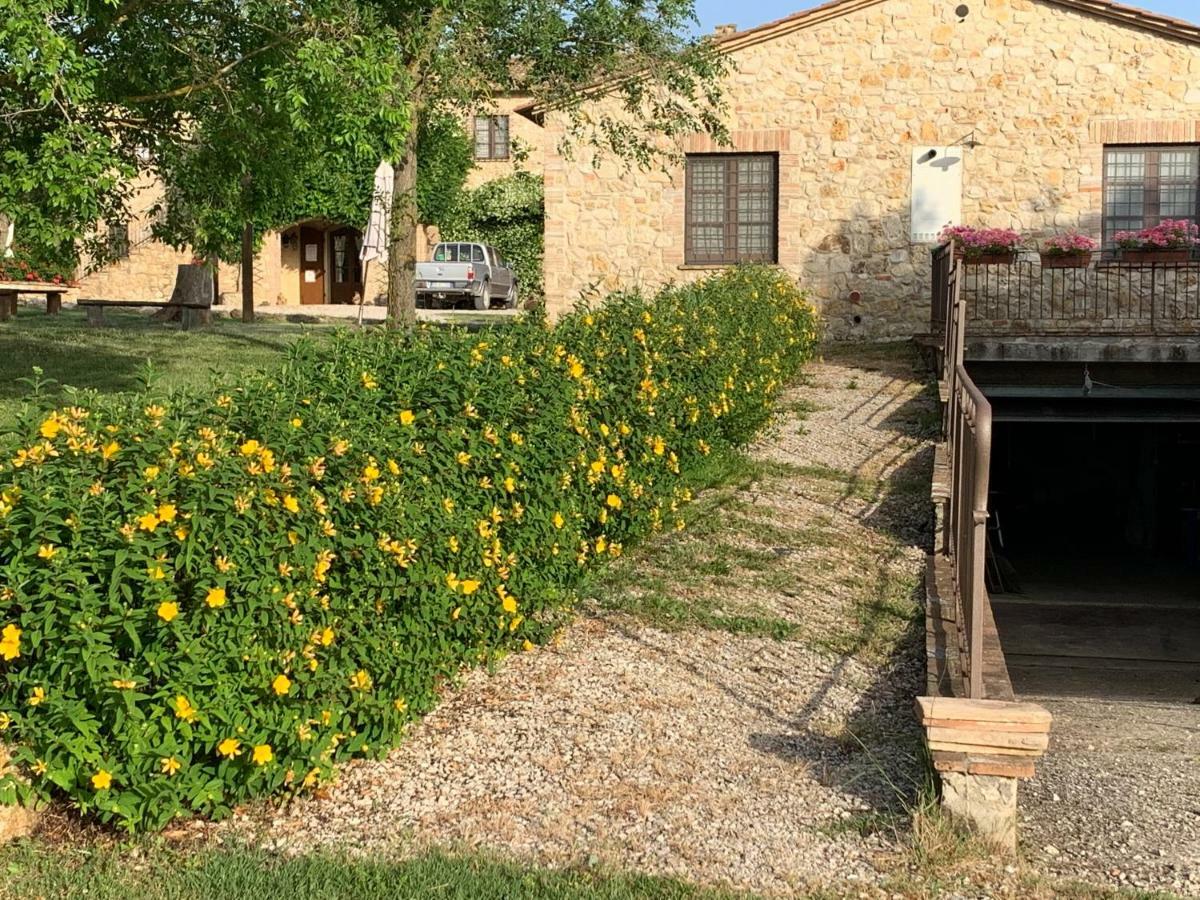 Agriturismo Podere Dell' Olmo アメリア エクステリア 写真