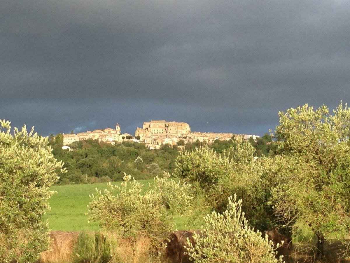 Agriturismo Podere Dell' Olmo アメリア エクステリア 写真